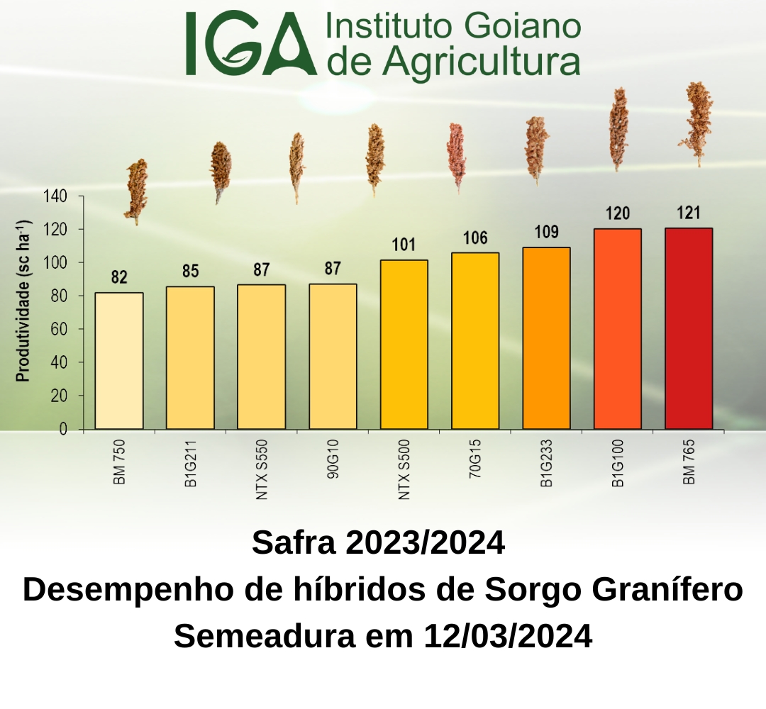 2ª epoca